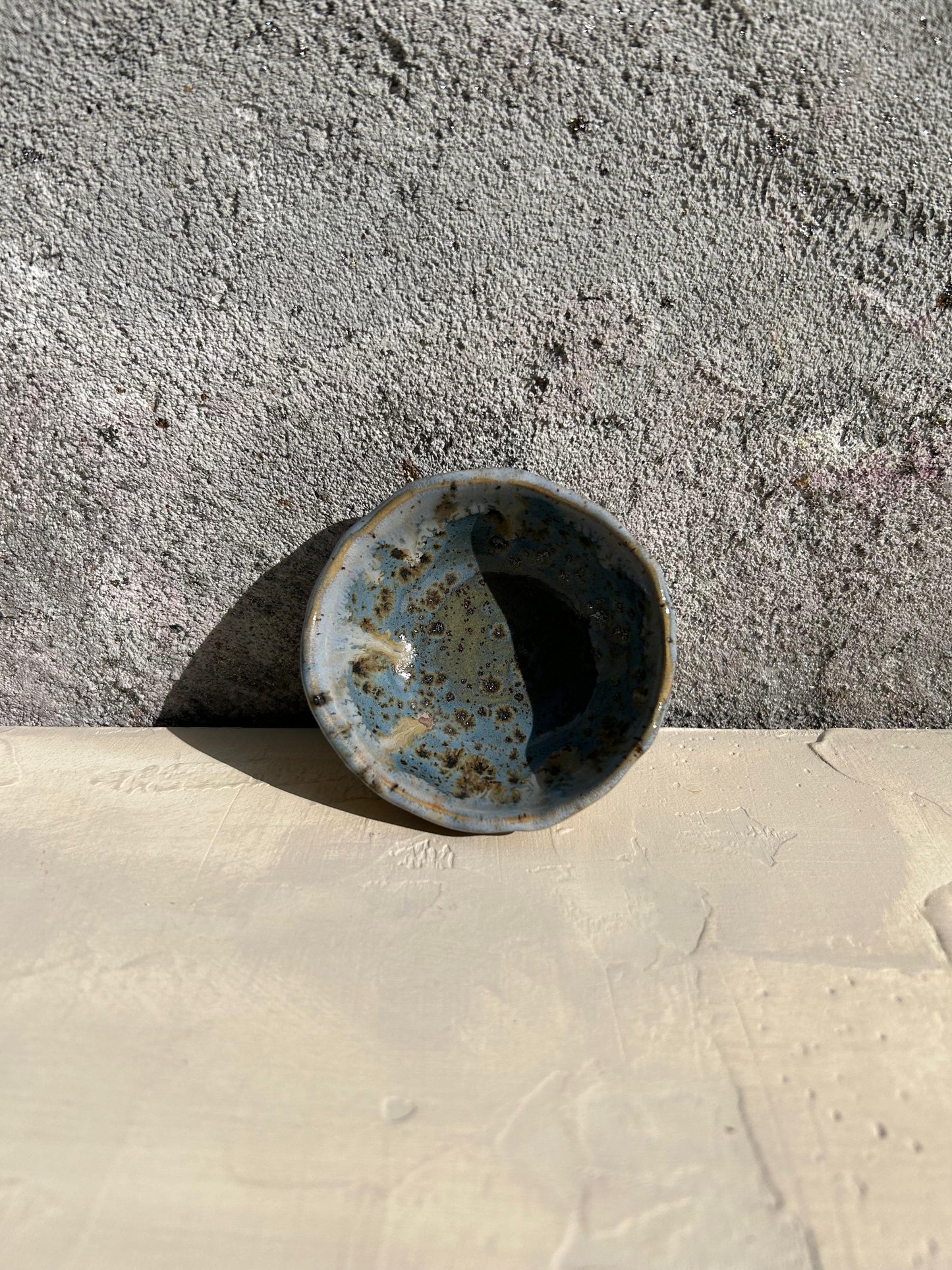 Blue Universe Tostoparlak Mini Herbirşeylik