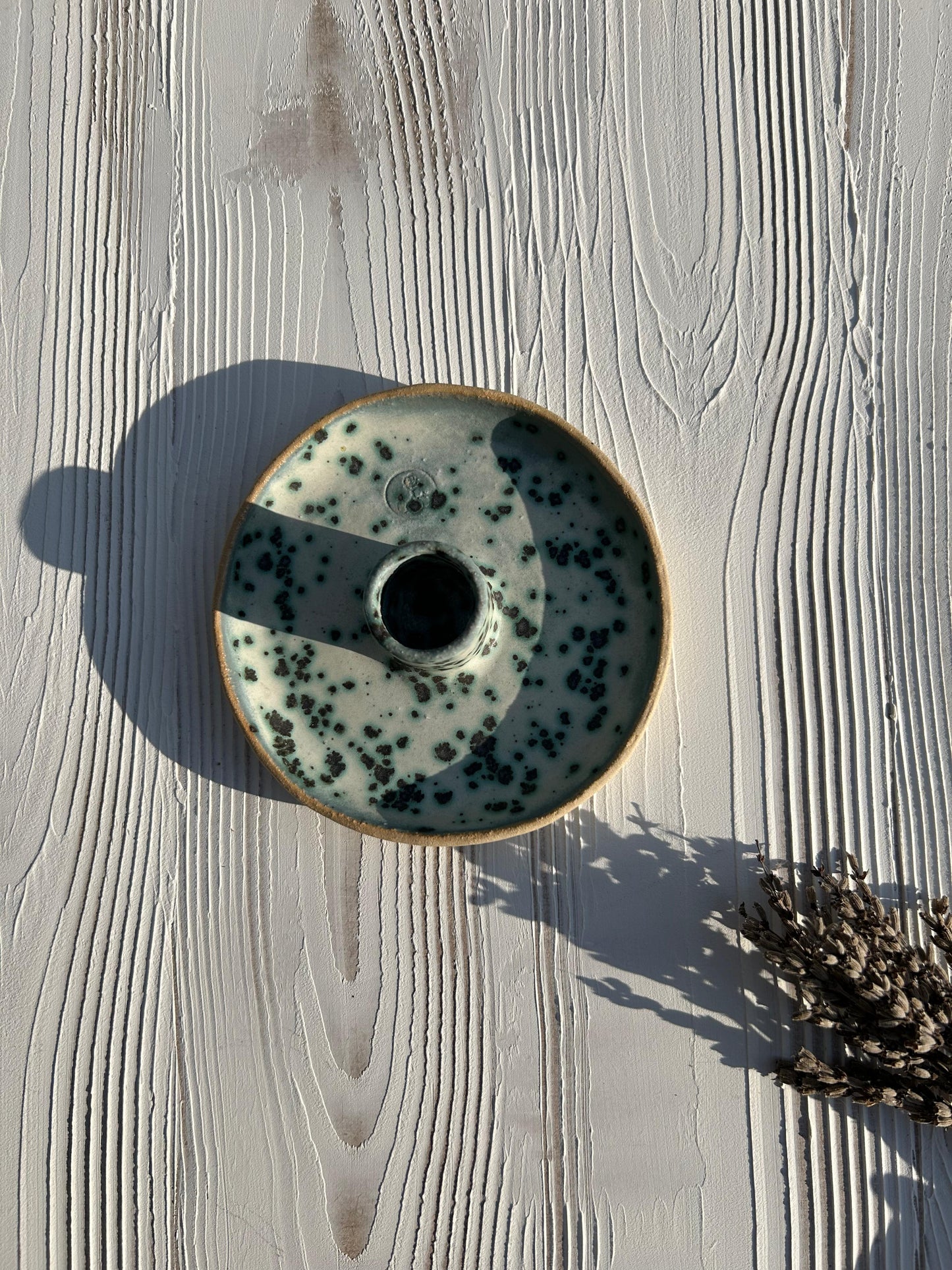 Moldy Palo Santo Tütsülüğü