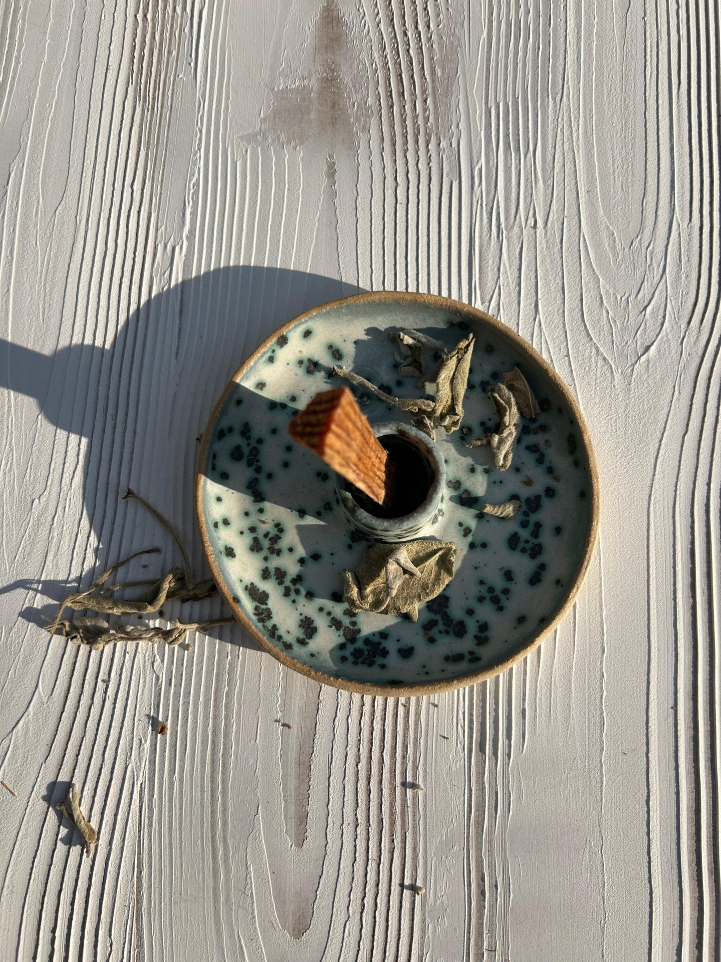 Moldy Palo Santo Tütsülüğü